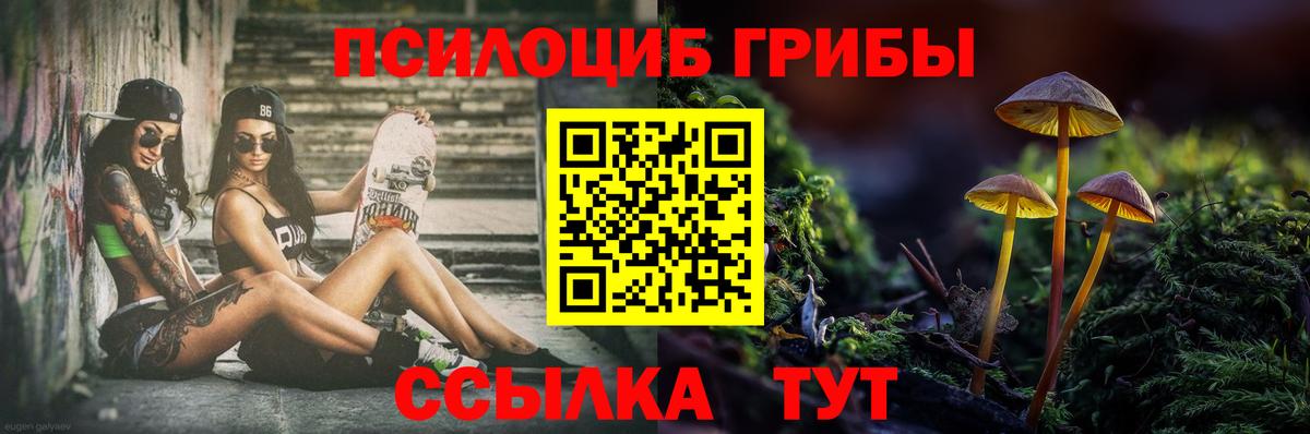 Ростов-на-Дону  Псилоцибиновые грибы мицелий  Галлюциногенные грибы Psilocybine cubensis  Вход с VPN 